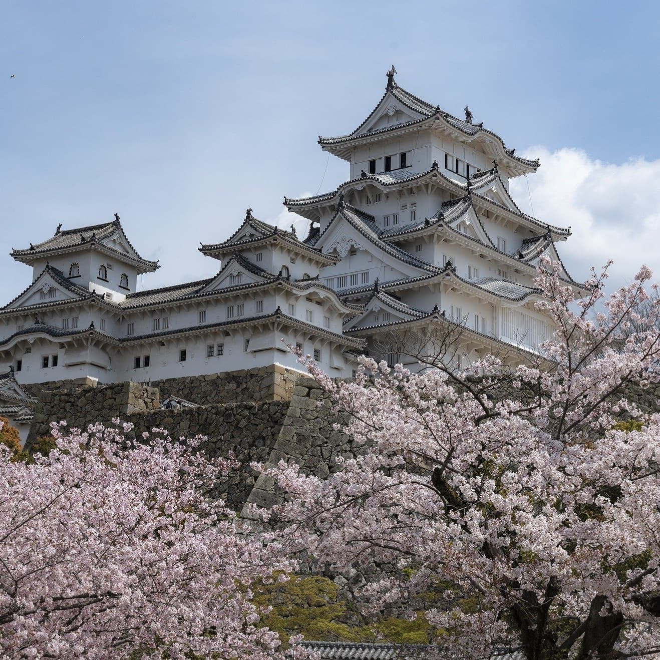 姫路城で学ぶまなたび俱楽部
